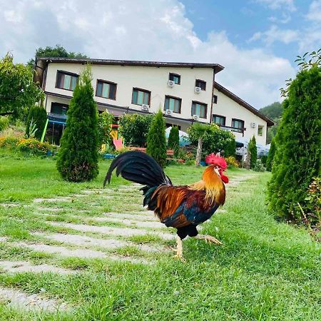 Family Hotel Borovitsa Pŭdartsi المظهر الخارجي الصورة