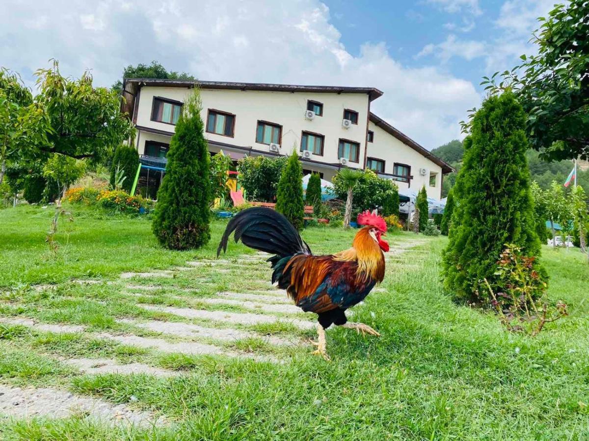 Family Hotel Borovitsa Pŭdartsi المظهر الخارجي الصورة